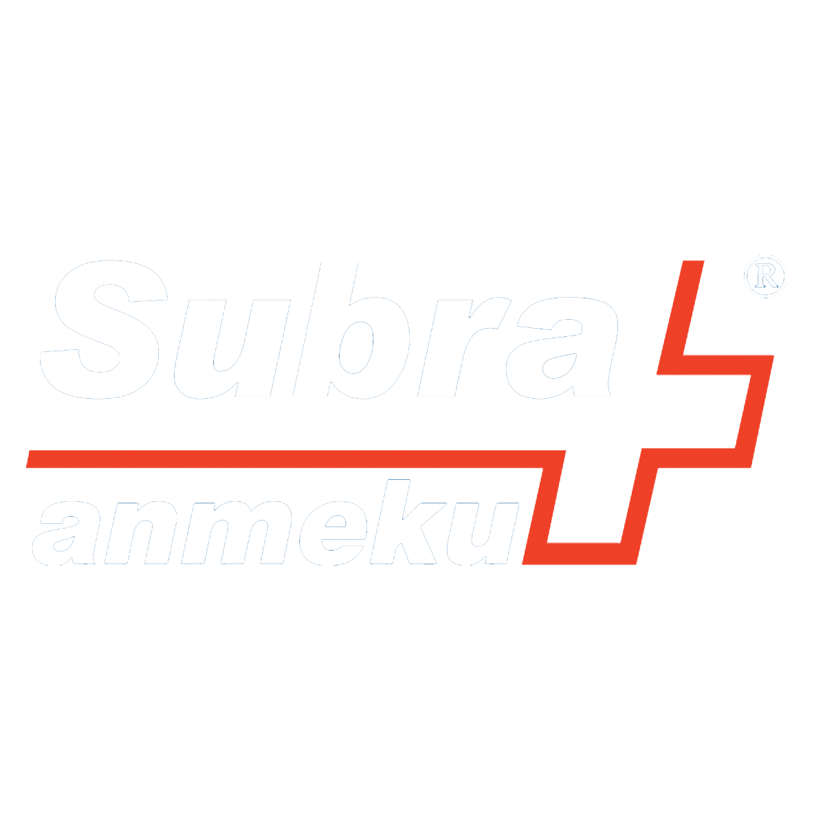 Footer Logo